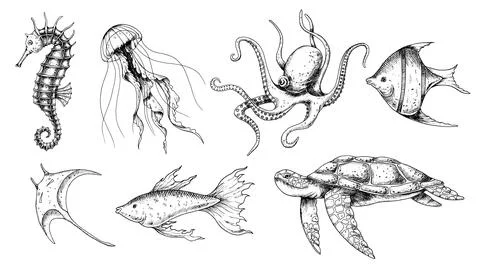 Undersea Animals set. Vector hand drawn illustration of seahorse and jellyfish Stock Illustration