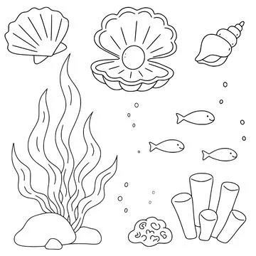 Undersea creatures and plants coloring book elements Stock Illustration