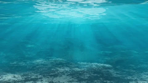 Undersea landscape Stock Footage 342505754