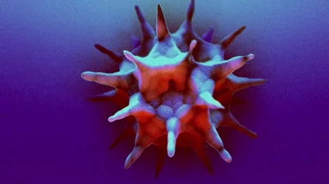 An undersea microbe morphing to the beat Stock Footage 11967560