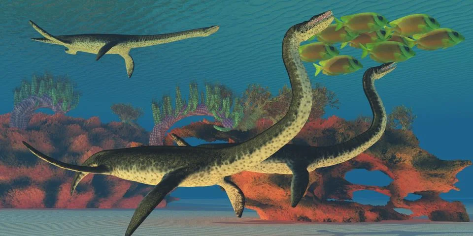 Undersea plesiosaurus Stock Illustration