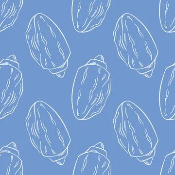 Undersea seamless pattern of seashells in line art style. Hand drawn blue Stock Illustration