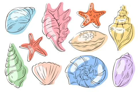 Undersea shell set line art style. Summer design of scallop, starfish and Stock Illustration