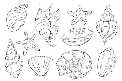 Undersea shells set in line art style. Summer design for fish restaurant Stock Illustration