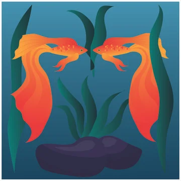 Undersea world. Two goldfish with algae and stones. Stock Illustration