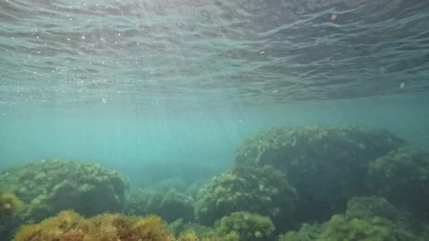 Undersea world. View through a diver's mask over huge rocks overgrown with algae Stock Footage 150567204