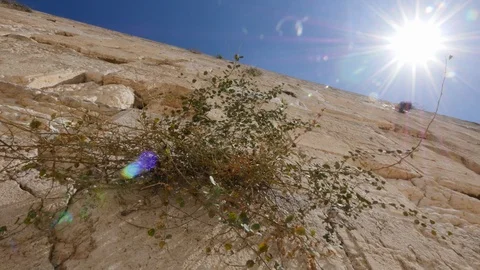 Undersichting of Kotel, Jerusalem, Israel Stock Footage 90591597