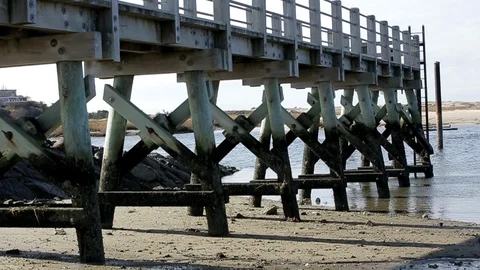 Underside of dock, day. 스톡 동영상 105865256