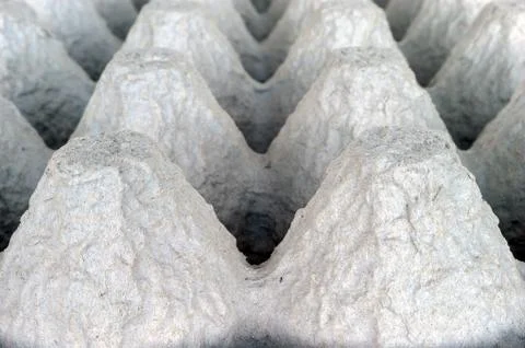 Underside of an Empty Biodegradable Molded Pulp Fiber Egg Carton Tray. Foto stock