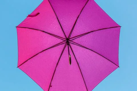 Underside of a pink umbrella with rain drops.-1 Stock Photos