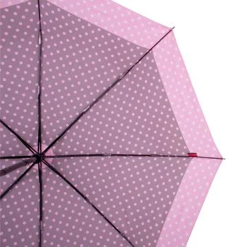 Underside of rose umbrella Stock Photos