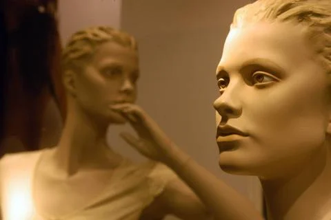 Understanding and learning through observation, self reflection and change... Stock Photos