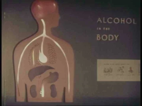Understanding the blood alcohol level and how beverage alcohol effects theƒ Vidéo 75288375