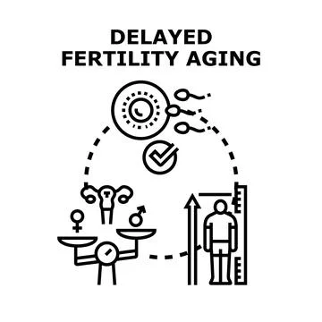 Understanding delayed fertility and aging process Stock Illustration