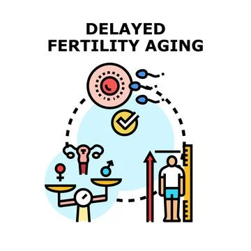 Understanding delayed fertility and aging process Stock Illustration