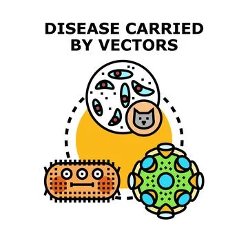 Understanding disease transmission and vector animal pathogens Stock Illustration