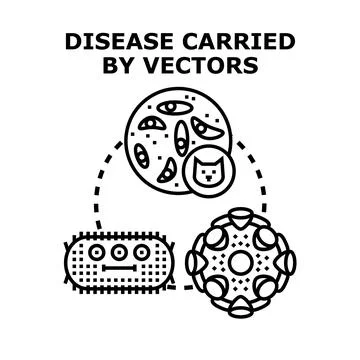 Understanding disease transmission and vector animal pathogens Stock Illustration