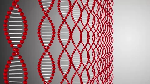 Understanding DNA structure and function through vivid 3D models in a scien.. Stock Footage 332692033