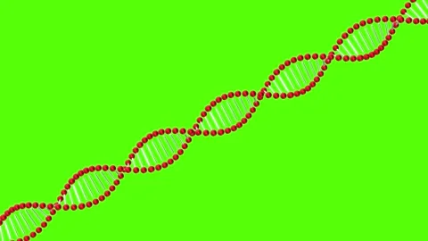 Understanding DNA structure and function in molecular biology research 스톡 동영상 333445871