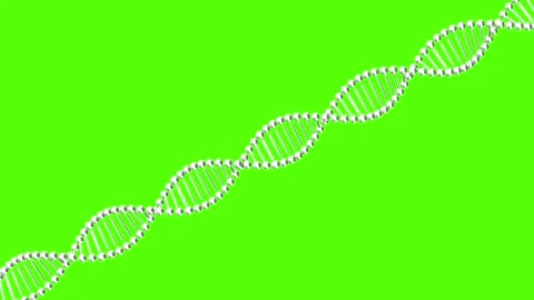 Understanding DNA structure and its vital role in genetics and biological f.. Stock Footage 333446032