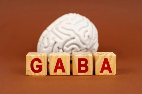 Understanding GABA's role in brain function and health through creative rep.. Stock Photos
