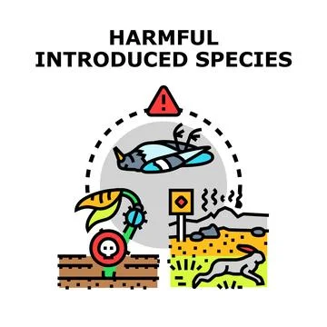 Understanding harmful introduced species impacting ecosystems Stock Illustration