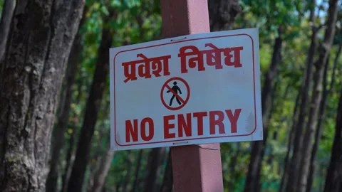Understanding No Entry Sign Boards Stock Footage 313566708