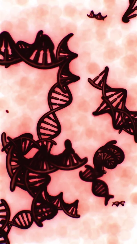 Understanding the structure and function of DNA in biological systems 스톡 동영상 306084750