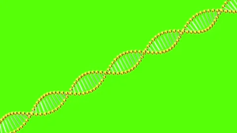 Understanding the structure of DNA and its role in genetics along with its .. 스톡 동영상 333446058