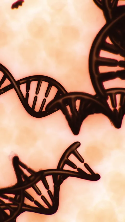 Understanding the structure of DNA with focus on genetics and biology Stock Footage 336174586