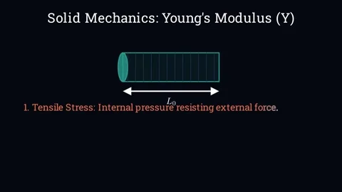 Understanding Young's Modulus Vídeo Stock 335190845