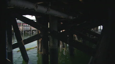 UnderThePier Stock Footage 478263