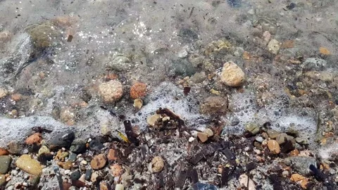 Undertow on seashore, directly above on a foam Stock Footage 202070879