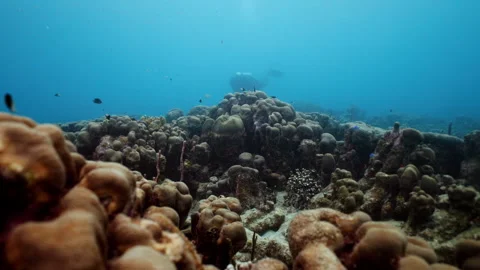 Underwater 003 Stock Footage 340040499