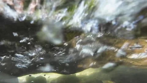 Underwater 01 Stock Footage 345833852