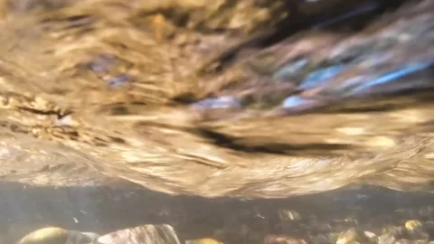 Underwater 02 Stock Footage 345833854
