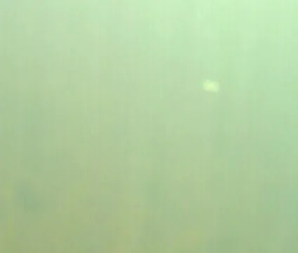 Underwater 1 Stock Footage 356960