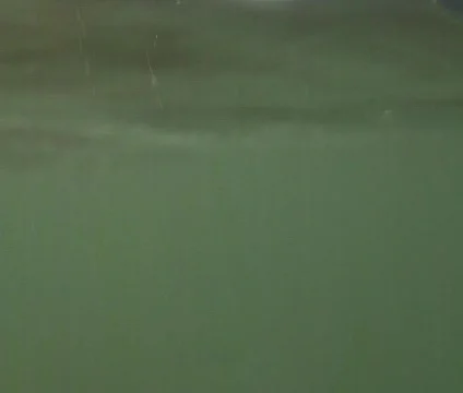 Underwater 2 Stock Footage 356961