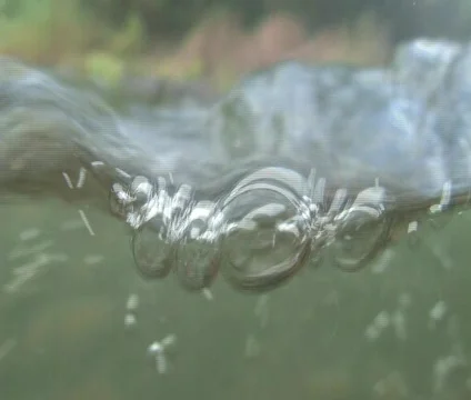 Underwater 3 Vídeo Stock 356962