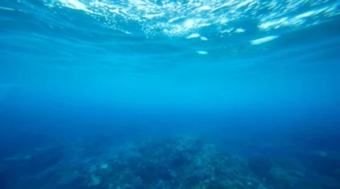 Underwater 3 Stock Footage 7729511
