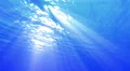 Underwater 40 seconds LM06 Loop Sunlight 4k or 4k+ Resolution