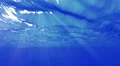 Underwater 40 seconds LM16 Loop Sunlight 4k or 4k+ Resolution