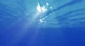 Underwater 40 seconds LM17 Loop Sunlight 4k or 4k+ Resolution
