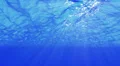 Underwater 40 seconds LM18 Loop Sunlight 4k or 4k+ Resolution