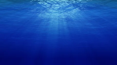 Underwater 4K Stock Footage