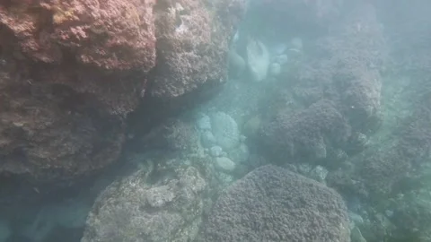 Underwater 4k POV Free Diving / Scuba Diving - Travel Nature Mallorca Stock Footage 132893147
