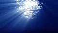 Underwater 60 seconds LM02 Loop Sunlight 4k or 4k+ Resolution