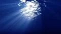 Underwater 60 seconds LM02 Loop Sunlight HD Footage