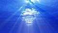 Underwater 60 seconds LM06 Loop Sunlight HD Footage