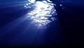 Underwater 60 seconds LM11 Loop Sunlight HD Footage